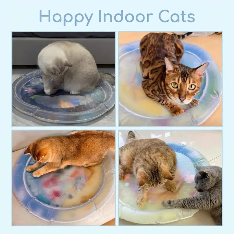 Thickened Anti-Scratch Leakproof Water Mat for Indoor Cats - Durable Interactive Toy, Christmas Gift, Pet Cooling Mat, Pet Supplies, Cat Accessories