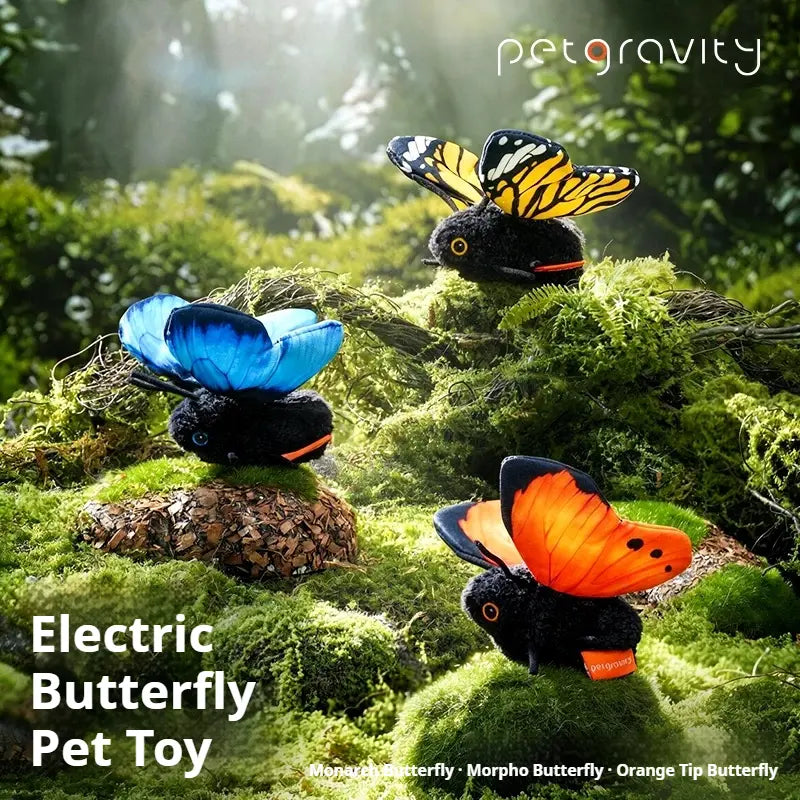 Interactive Butterfly Cat Toy, Motion Activated & USB Rechargeable, Realistic Flapping Wings, Self-Play Teaser Toy for Indoor Cats & Kittens