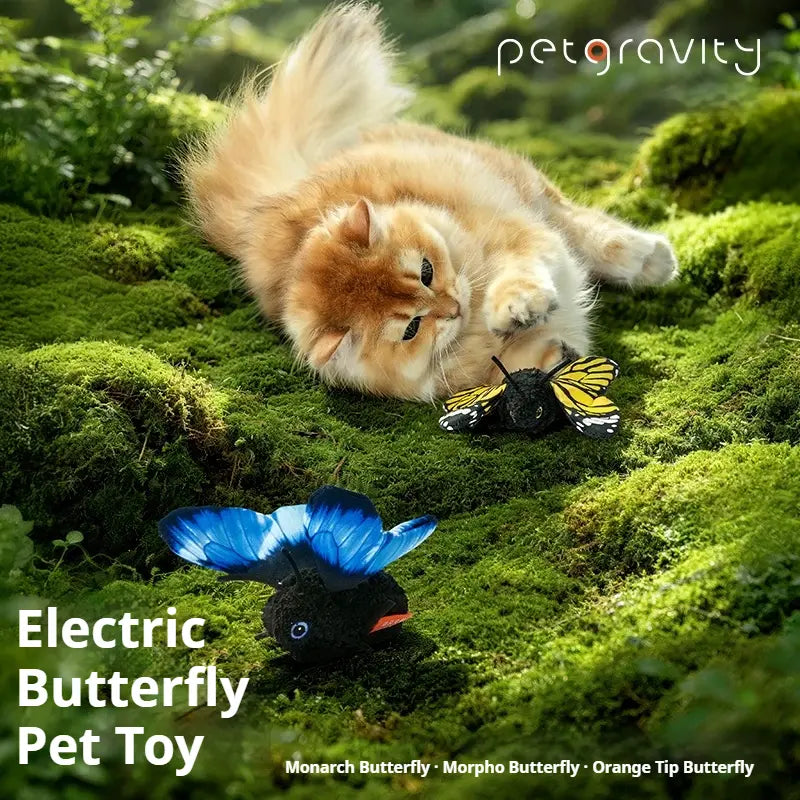 Interactive Butterfly Cat Toy, Motion Activated & USB Rechargeable, Realistic Flapping Wings, Self-Play Teaser Toy for Indoor Cats & Kittens